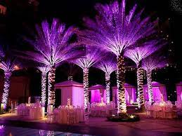 Uplighting Rental
